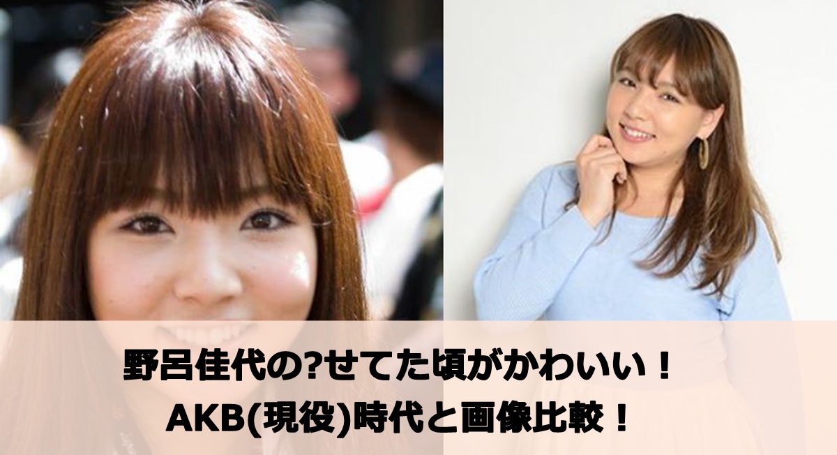 野呂佳代の瘦せてた頃がかわいい！AKB(現役)時代と画像比較！